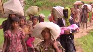 rohingya migrants