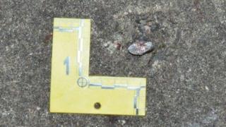 One of the bullets used in the Londonderry attack, 9 August 2017
