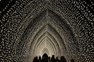 Botanics Edinburgh