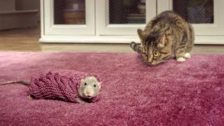 Mouse in jumper