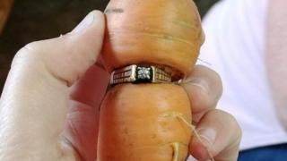 Кольцо с бриллиантом вытянули с морковкой