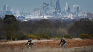 Cyclist in Richmond Park