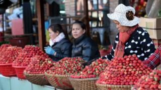 Việt Nam, Úc, dâu tây