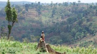 Bosona Mawu