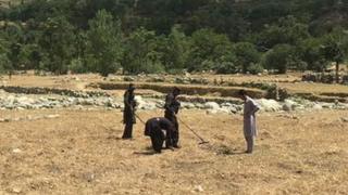 باجوڑ