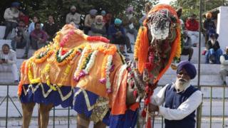 Kila Raipur