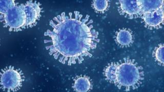 Virus del sarampión