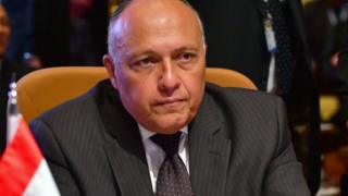 سامح شكري