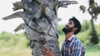 பனை சதீஷ்