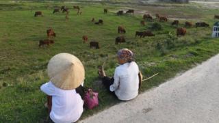 Việc chuyển mục đích từ trồng lúa sang trồng cây ăn quả, hay chuyển đất nông nghiệp sang đất phi nông nghiệp xây chuồng trại chăn nuôi và làm nhà đều phải xin phép.