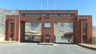 wana
