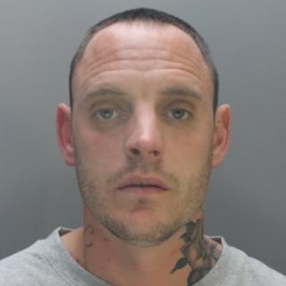 dane molloy