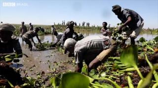 Lago Tana
