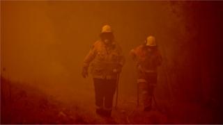 Firefighters tackle a bushfire in thick smoke in the town of Moruya, south of Batemans Bay, in New South Wales on 4 January, 2020.