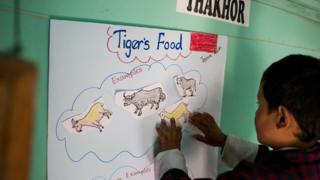 Children in Bhutan learning about wild tigers