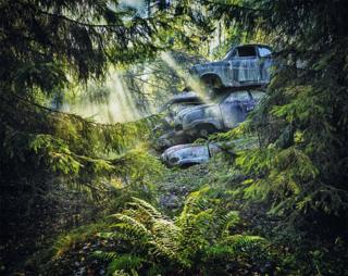 A pile of abandoned cars in a forest