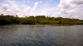 Pesquisadores da Universidade de Exeter fizeram estudo que descobriu presença do homem na Amazônia há 4,5 mil anos