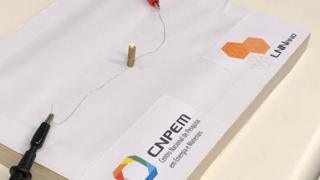 Una muestra de la capacidad de conexión que tienen los bambúes.