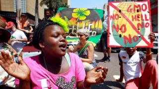 Waandamanaji wakipinga matumizi ya GMO nchini Afrika Kusini mwaka 2013