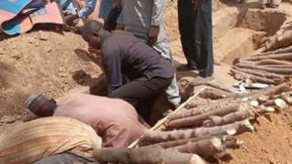 Hare-hare a Katsina