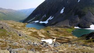 caza en Alaska