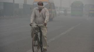 วิตามินบี, มลพิษ, ป้องกัน, ผลทดลอง, PNAS, ฮาร์วาร์ด, อาสาสมัคร, อากาศ, PM2.5