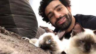 محمد صلاح مع قطتيه في الصورة التي نشرها عبر حسابه على تويتر