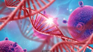 DNA