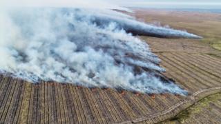 Brash_Tracks_on_Fire_Dyke_2019. Credit Paul Turner.jpg