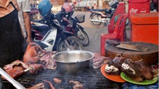 Ndị na-azụ nkịta kwuru na ha ekweghị na mmachi gọomentị machiri ịta anụ nkịta