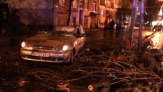 Упавшие из-за сильного ветра деревья повредили авто