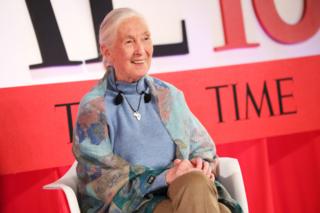 Nhà khoa học Jane Goodall được bình chọn là 1 trong 100 nhân vật có ảnh hưởng nhất thế giới năm 2019