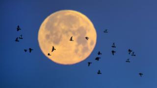 super moon