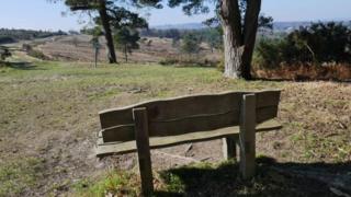 Memorial bench at Ashdown Forest in memory of Luke Power, 20, from Turners Hill, and Tom Dawes, 19, from Forest Row