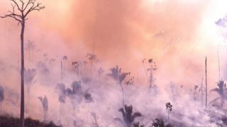 Les incendies en Amazonie ont augmenté de 84 % en raison de la déforestation croissante, selon l'agence brésilienne de recherche spatiale.