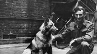 Khan, un berger allemand qui a servi dans l'armée britannique pendant la Seconde Guerre mondiale avec son maître Jimmy Muldoon