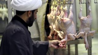 کشتارگاه مرغ