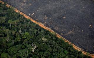 An aerial view shows a deforested plot of the Amazon near Porto Velho on 17 September 2019