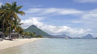 Des cocotiers bordent la plage de Flic en Flac sur l'île Maurice.