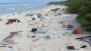 Henderson Island is part of the UK's Pitcairn Islands group