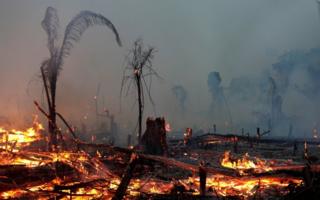 Como a 'MP da grilagem' pode mudar o mapa de regiões da Amazônia Como a 'MP da grilagem' pode mudar o mapa de regiões da Amazônia