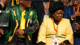 Rais Zuma ameoa wake wengi na Bi Dlamini-Zuma alikuwa mmoja wa wake zake watatu hadi Dlamini alipomtaliki mwaka 1998.