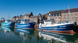 environment Fishing trawlers in Aberdeenshire