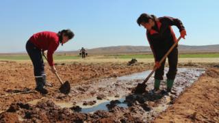 Farmers in North Korea, 2019