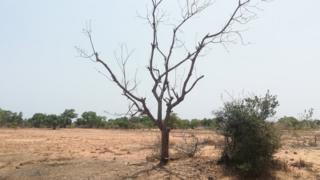 முள்ளிவாய்க்கால்