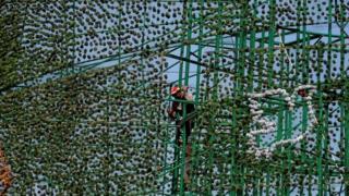 A construction worker prepares a huge Christmas tree in Colombo (05 December 2016)