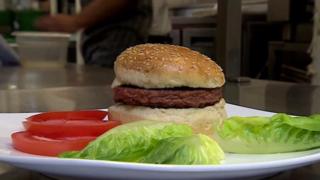 hamburger