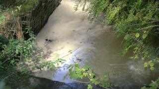 Afon Pibwr