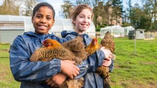 Children holding hens