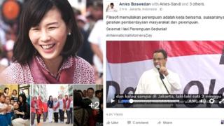 verocina anies